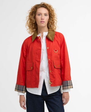 Mackworth Casual Jacket Vermillion