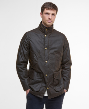 Hereford Wax Olive