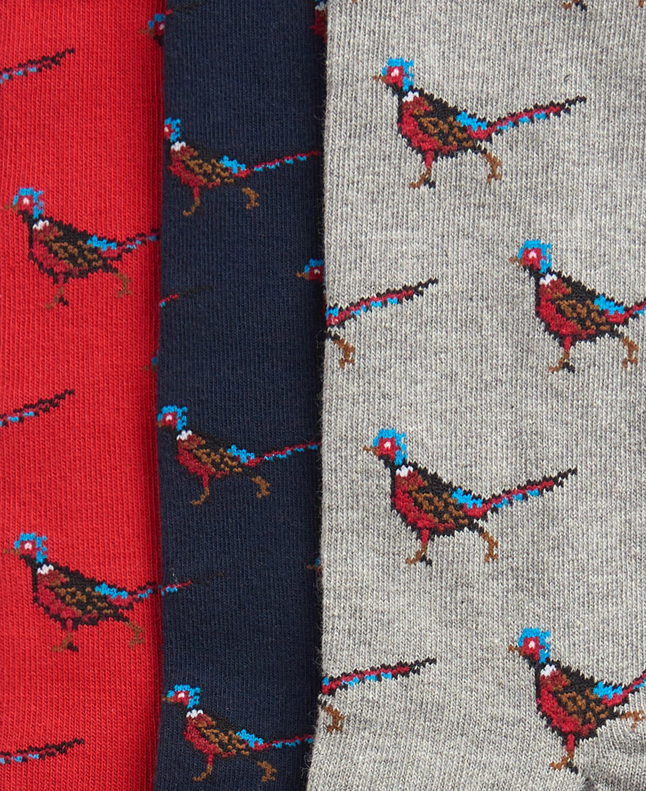 pheasant-socks-gift-box-selection-1-homme-MGS0033MI11_09swatch_light Pheasant Socks Gift Box Selection 1