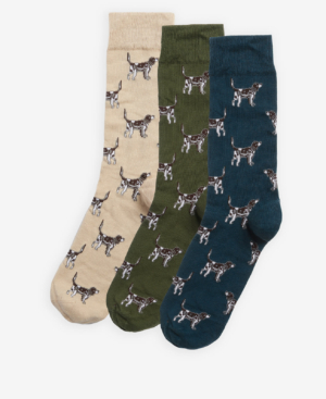 Pointer Dog Socks Gift Box Forest Mist