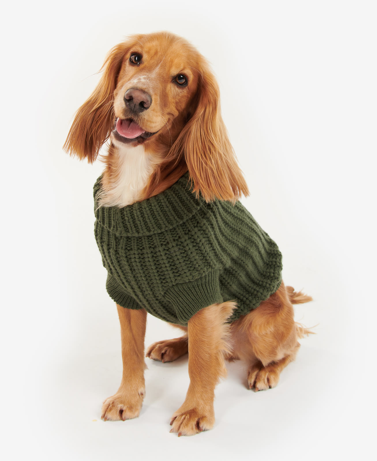 saltburn-dog-jumper-olive-dog-DCO0042OL31_01front_model_light-1 Saltburn Dog Jumper Olive