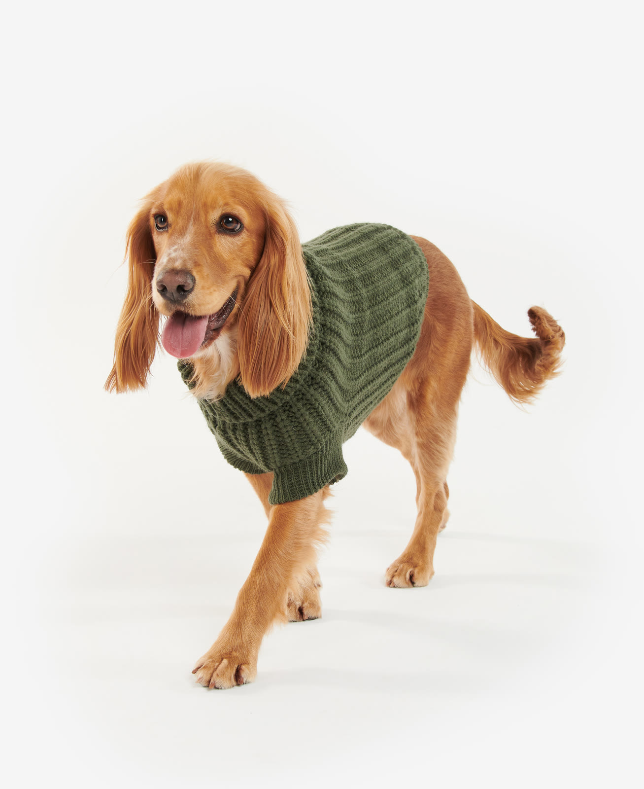 saltburn-dog-jumper-olive-dog-DCO0042OL31_03getthelook_model_light-1 Saltburn Dog Jumper Olive