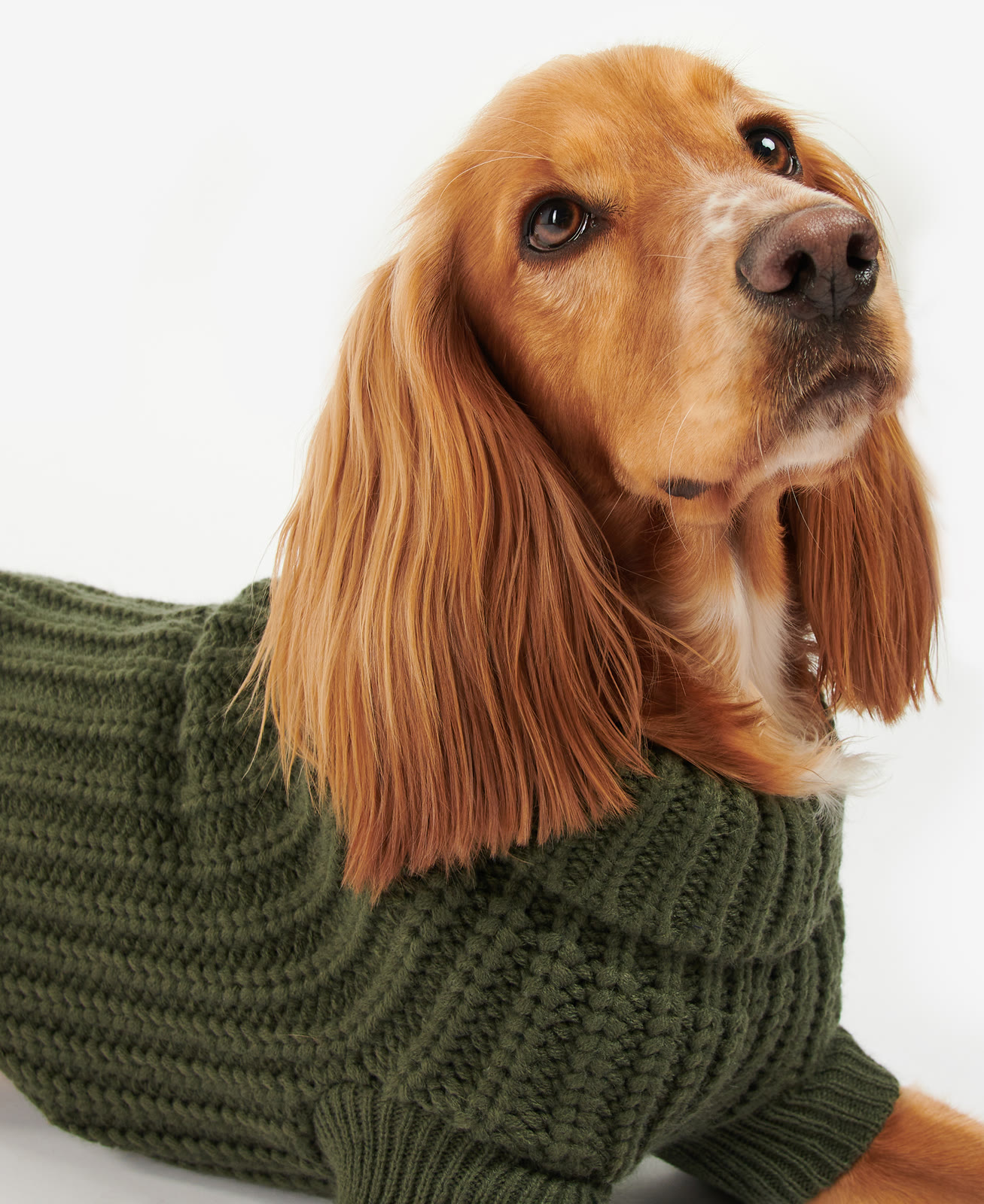 saltburn-dog-jumper-olive-dog-DCO0042OL31_04detaila_model_light-1 Saltburn Dog Jumper Olive
